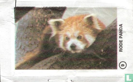 9. Rode Panda - Bild 1