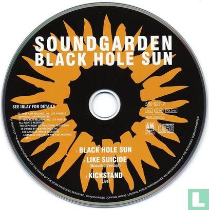 Black Hole Sun - Afbeelding 3