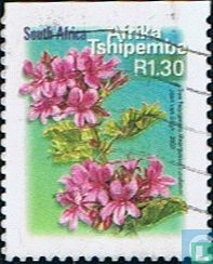 Flora und Fauna (Tshipembe)
