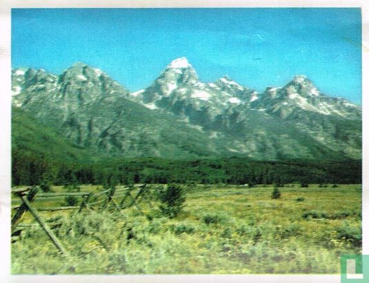 De Teton Mountains - Afbeelding 1