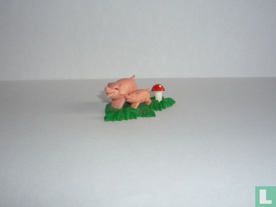 Schweine