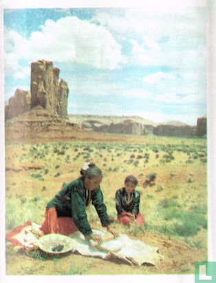 Navajo-indiaanse - Image 1