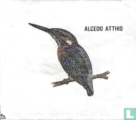 Alcedo Atthis - Afbeelding 1