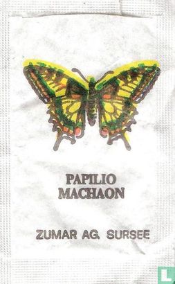 Papilio Machaon - Vanessa IO - Image 1