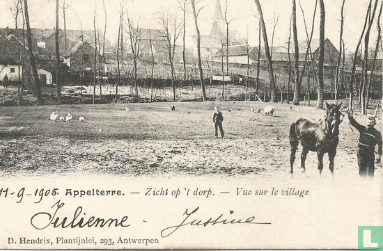 Appelterre - Zicht op 't dorp