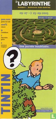 Tintin: Labyrinthe - Durbuy  - Afbeelding 1