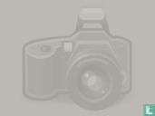 75 jaar scouting - Afbeelding 2