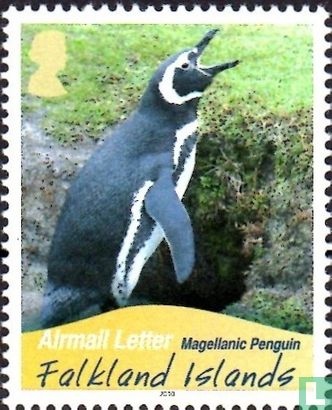 Penguins  