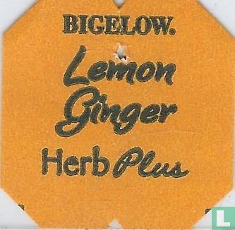 Lemon Ginger  - Image 3
