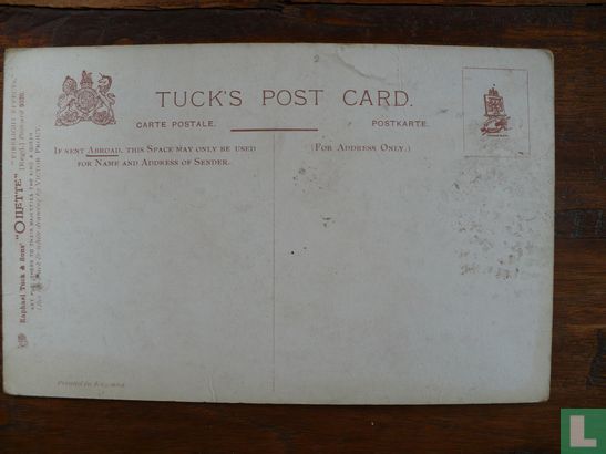 Tuck's post card - Afbeelding 2