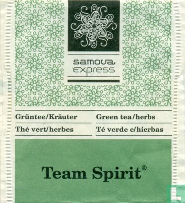Team Spirit [r] - Afbeelding 1