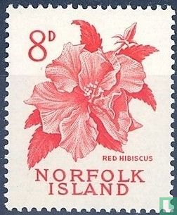 Rote Hibiscus