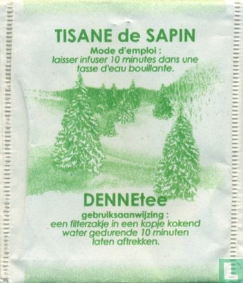 Tisane de Sapin - Image 1
