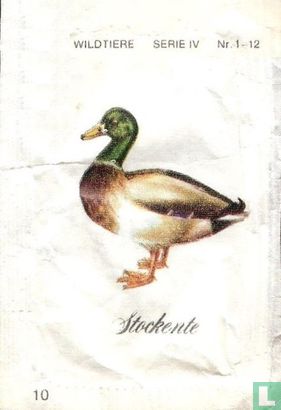 Stockente - Afbeelding 1