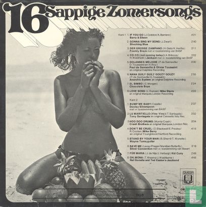 16 Sappige zomersongs - Image 2