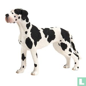 Dogge