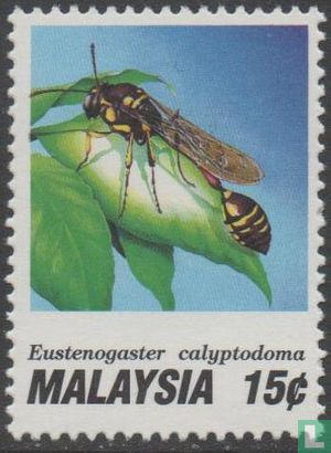 Insekten-Wespen