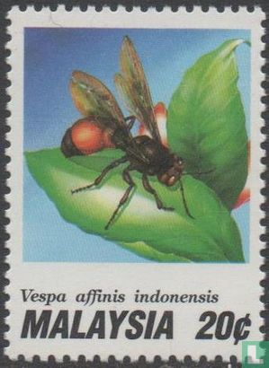 Insectes-guêpes