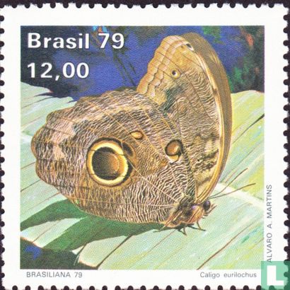 BRASILIANA79 - Butterflies