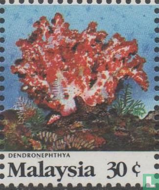 Marine life-corals 