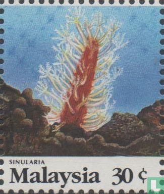 Marine life-corals