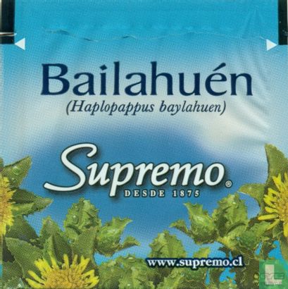 Bailahuén - Afbeelding 1