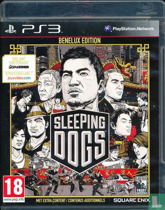 Sleeping Dogs Benelux Edition - Image 1
