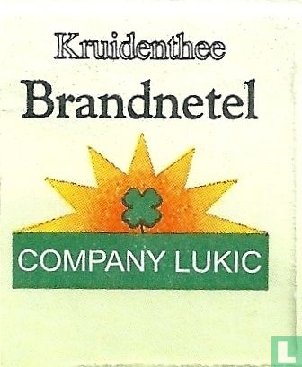 Brandnetel - Afbeelding 3