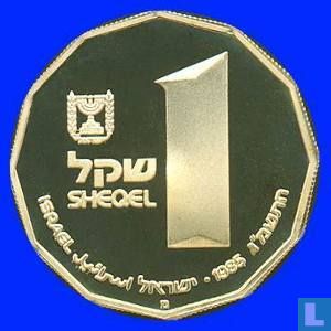 Israel 1 sheqel 1985 (JE5746 - PROOF) "Capernaum" - Image 1