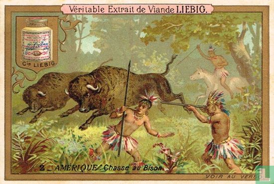 Amérique: chasse au bison