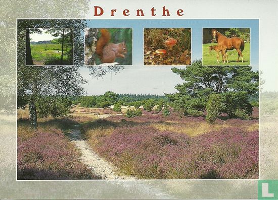 Drenthe 