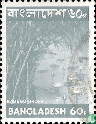 Bamboo - Image 1