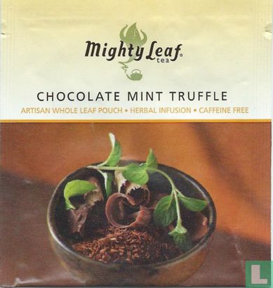 Chocolate Mint Truffle - Image 1
