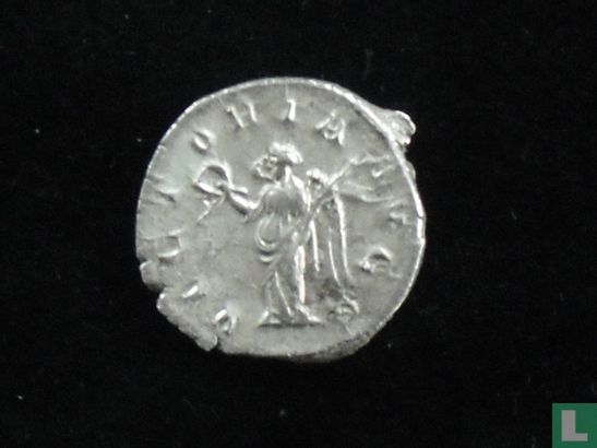 Romeinse Rijk - Philippus I (244-249 A.D.) - Afbeelding 2