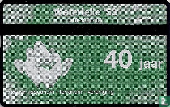 Waterlelie '53 - Afbeelding 1