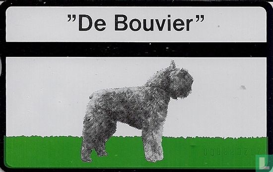 “De Bouvier” - Afbeelding 1