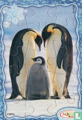 Pinguins - Afbeelding 1
