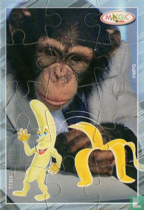 Chimpansee - Bild 1