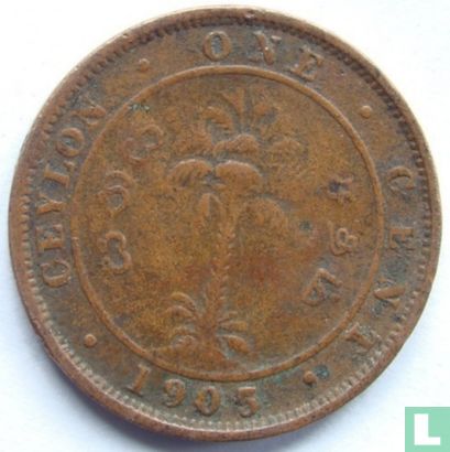 Ceylan 1 cent 1905 - Image 1