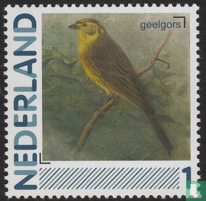 Bird-Yellowhammer