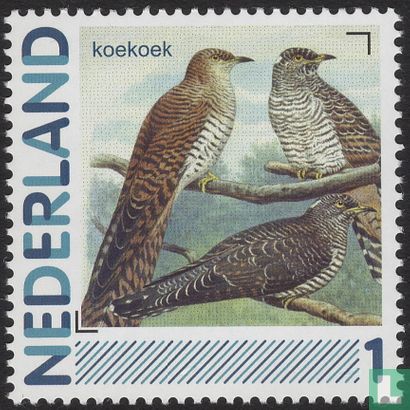Birds-Cuckoo