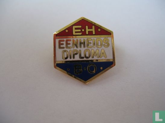 EHBO Eenheidsdiploma (type 2) - Image 1