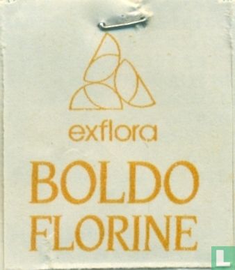 Boldo Florine - Afbeelding 3