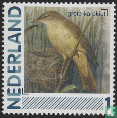 Birds-Great Reed Warbler