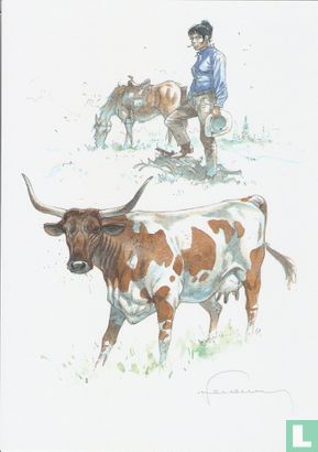 Helden & Koeien : Texas Long Horn