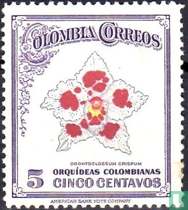 Orchidées colombiennes - Image 1