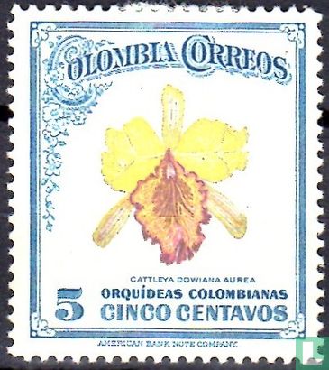 Colombian orchids - Image 1
