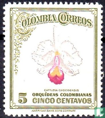 Colombiaanse orchideeën - Afbeelding 1