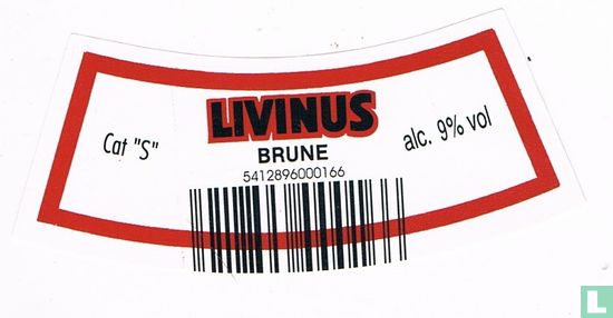 Livinus Bruin - Bild 2