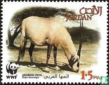 WWF - Arabische Oryx